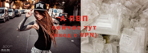 мет Богданович